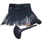 32 Pcs Professional Makeup Brush With Free Case (046004564)